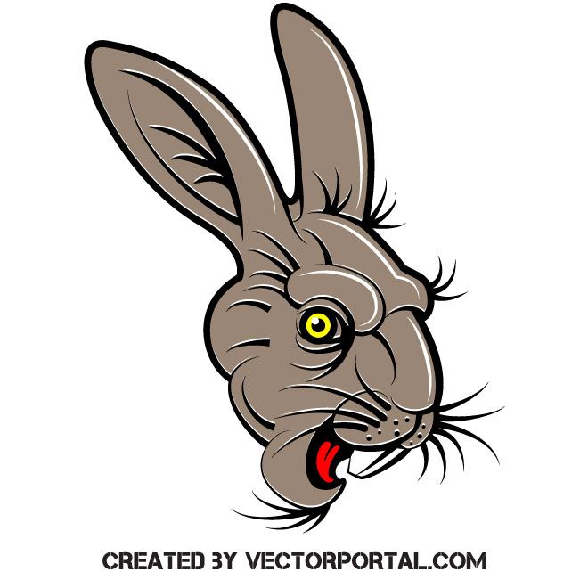 Free Bunny Head Svg Free 619 SVG PNG EPS DXF File - Free Envelope SVG