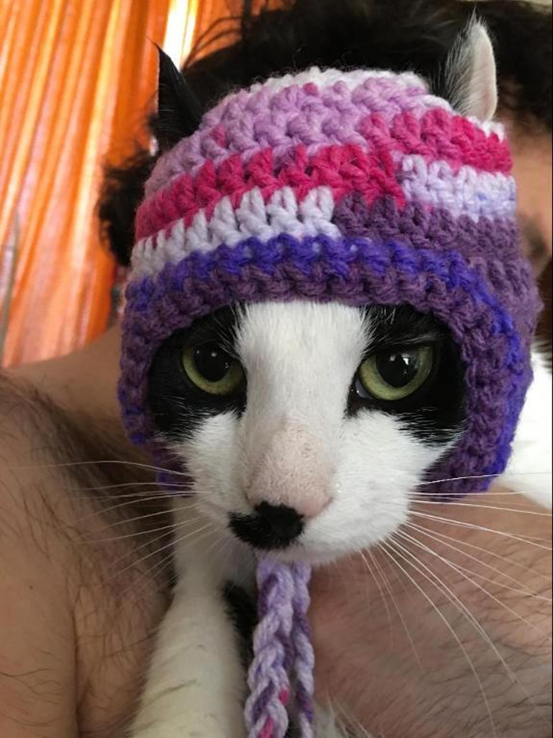 Crochet Hats for Cats: 7 Crochet Patterns for Cat Hats | Craftsy